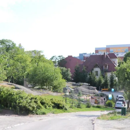 Freda Daire Turku